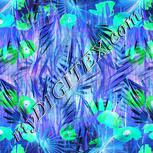 Colour:F