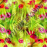 Colour:K