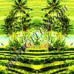 Colour:K