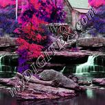 Colour:B