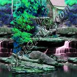 Colour:C