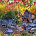 Colour:A