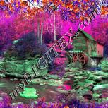 Colour:B