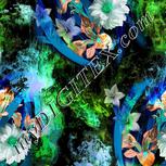 Colour:C