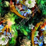 Colour:D