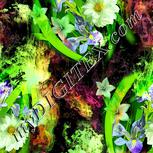 Colour:K