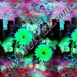 Colour:C