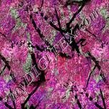 Colour:B