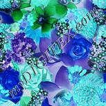 Colour:F