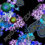 Colour:F