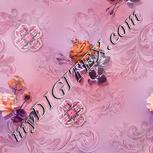 Colour:B