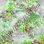 Colour:D