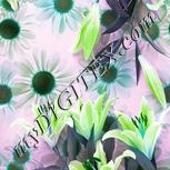 Colour:C