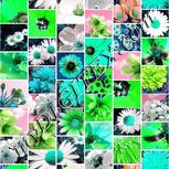 Colour:C