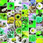 Colour:D