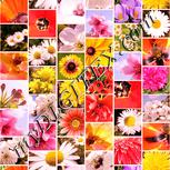 Colour:J