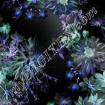 Colour:F