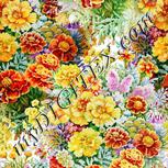 Colour:A