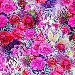 Colour:B