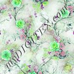 Colour:C