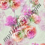 Colour:B