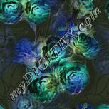 Colour:F