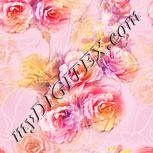 Colour:J