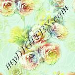 Colour:K