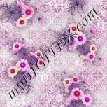 Colour:B