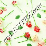 Colour:K