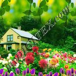 Colour:A