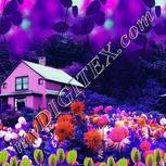 Colour:B