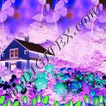 Colour:F