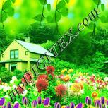 Colour:K