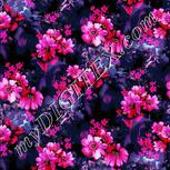 Colour:B