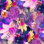 Colour:B
