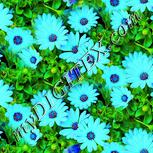Colour:K