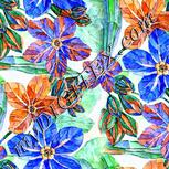 Colour:A