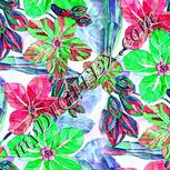 Colour:B