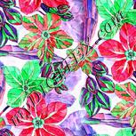 Colour:C