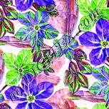 Colour:D
