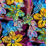 Colour:F