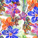 Colour:J