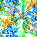 Colour:K