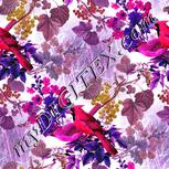 Colour:B