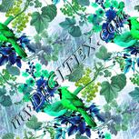 Colour:C
