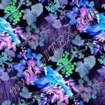 Colour:F
