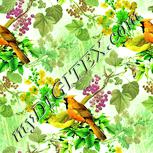 Colour:K