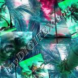 Colour:C