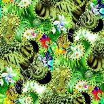 Colour:K
